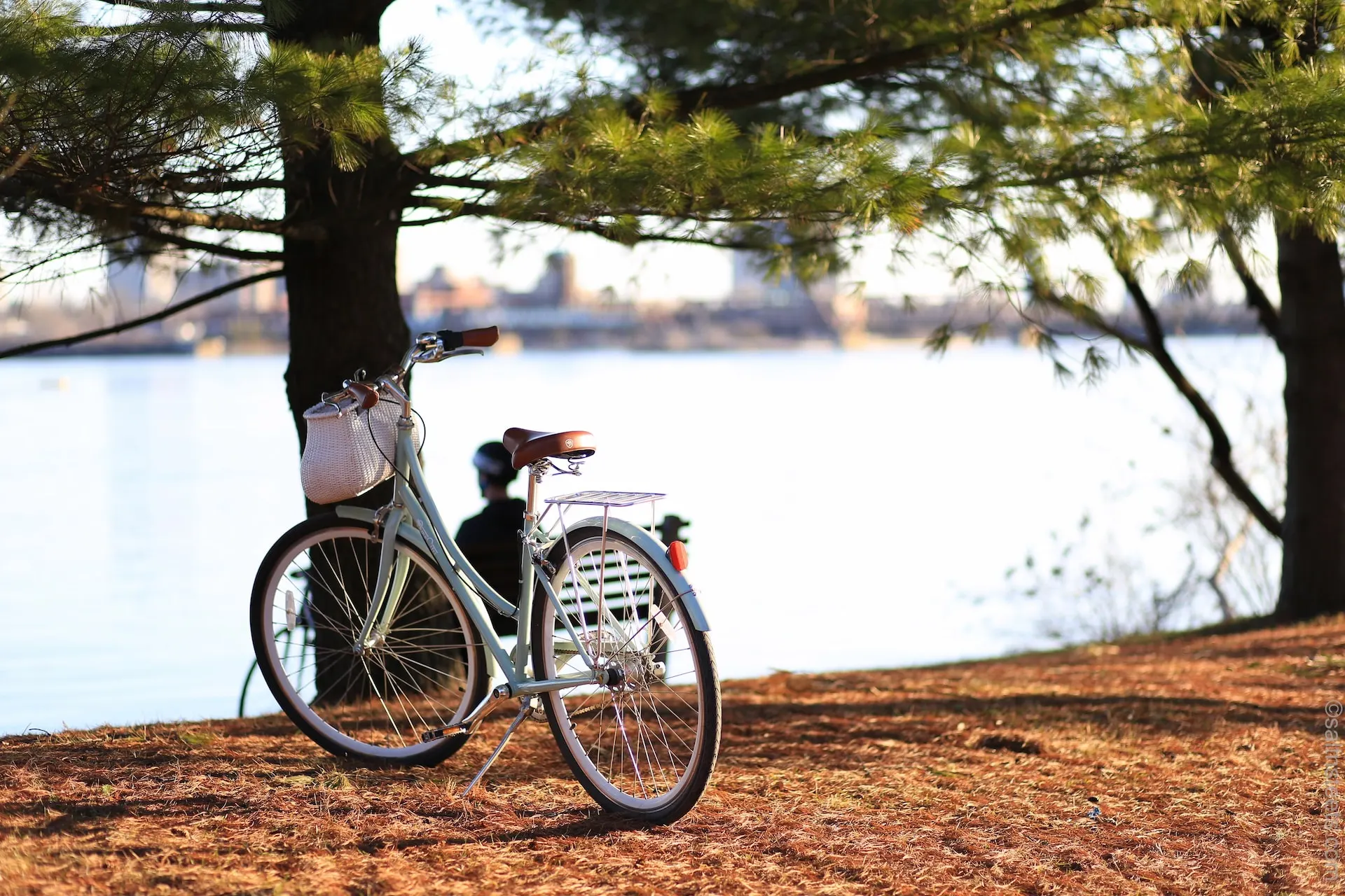 Louer un vélo autour de moi