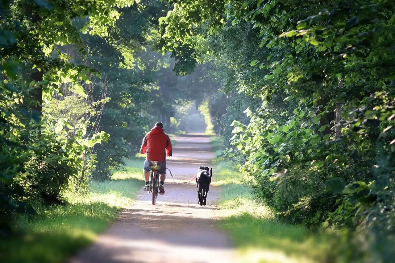 Balade sur la loire a velos avec loirevelos.com